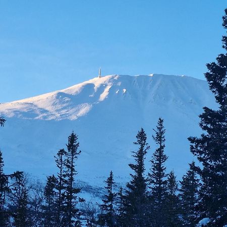 Ny Leilighet Med Flott Utsikt Til Gaustatoppen Rjukan Eksteriør billede