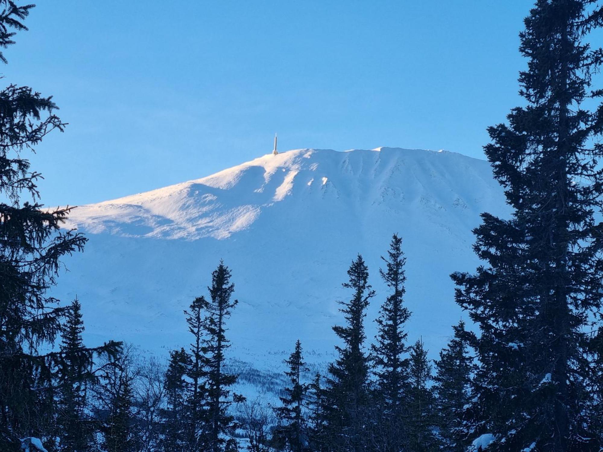Ny Leilighet Med Flott Utsikt Til Gaustatoppen Rjukan Eksteriør billede