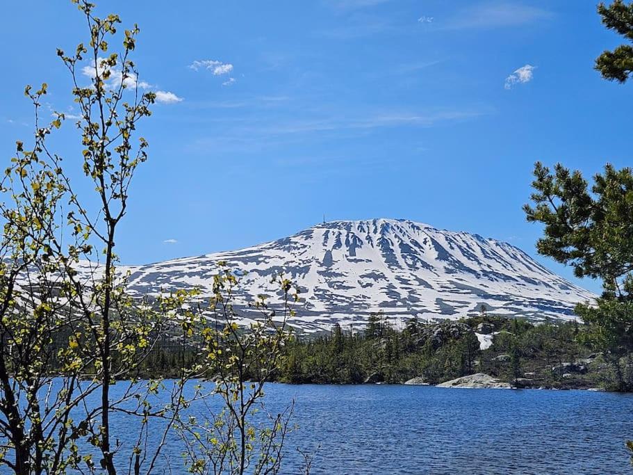 Ny Leilighet Med Flott Utsikt Til Gaustatoppen Rjukan Eksteriør billede