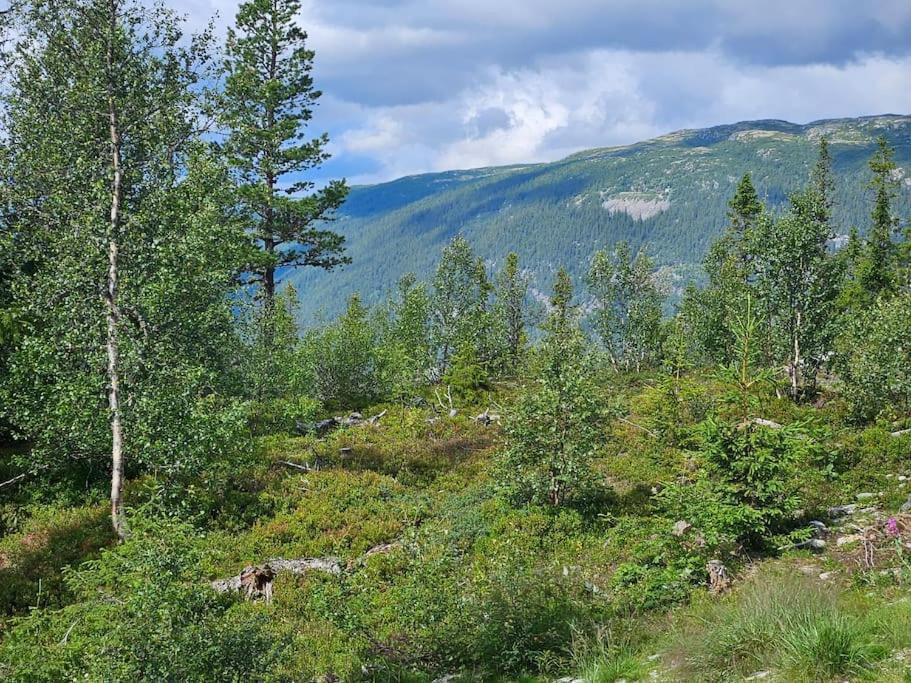 Ny Leilighet Med Flott Utsikt Til Gaustatoppen Rjukan Eksteriør billede